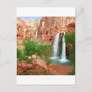 Park Dreamland Havasu Falls Grand Canyon Postcard