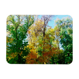 Park in the provincial ukrainian city postcard ma magnet