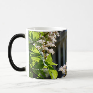 'Park Land Spring' Mug