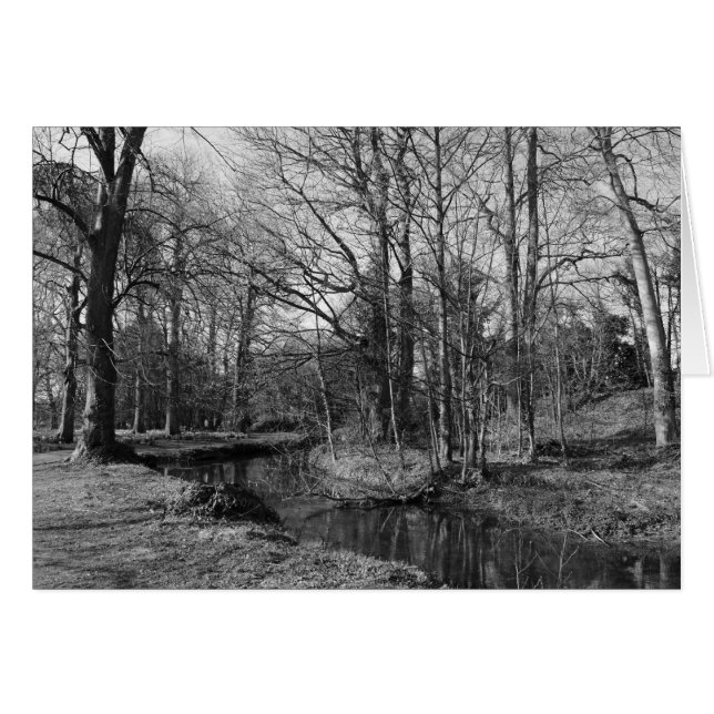 Park Landscape - Bute Park, Cardiff (Front Horizontal)