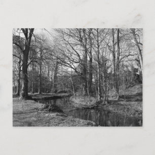 Park Landscape - Bute Park, Cardiff Postcard