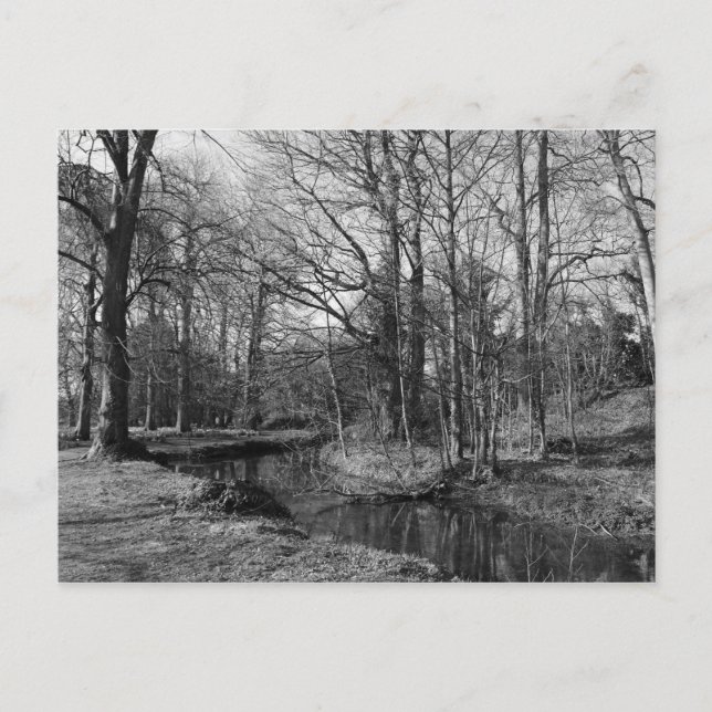 Park Landscape - Bute Park, Cardiff Postcard (Front)