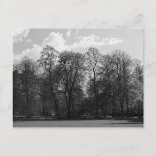 Park Landscape, Bute Park, Cardiff, Wales, UK Postcard
