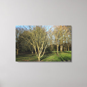 Park Landscape in Early Spring Canvas Print