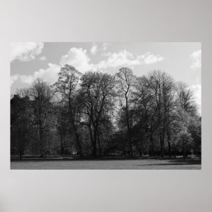Park Landscape Poster