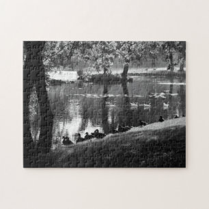 Park Life 11x14 252pc jpcna Jigsaw Puzzle