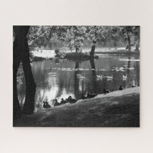 Park Life 16x20 520pc jpcnm Jigsaw Puzzle
