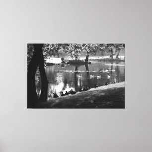 Park Life 60x40 (150x100cm) waccn Canvas Print