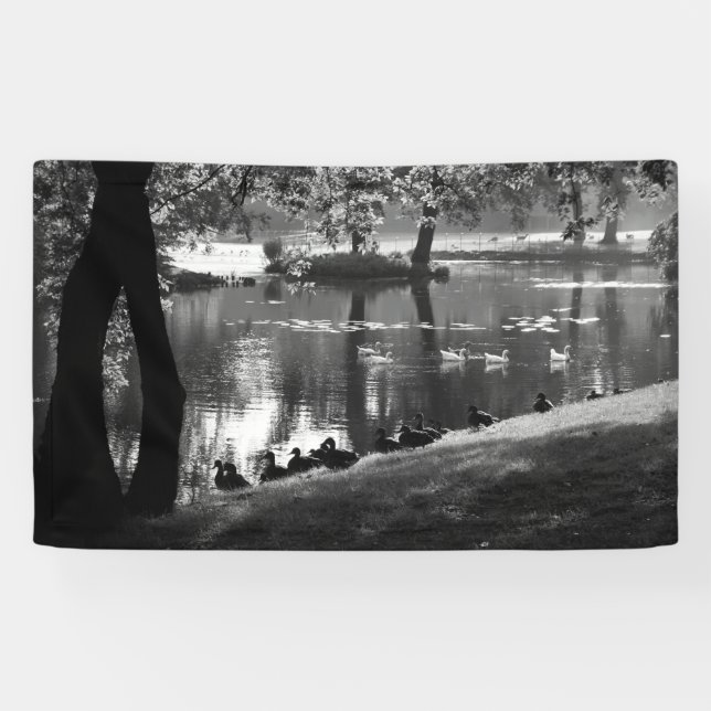 Park Life bnrcna Banner (Horizontal)