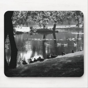 Park Life mpcna Mouse Mat