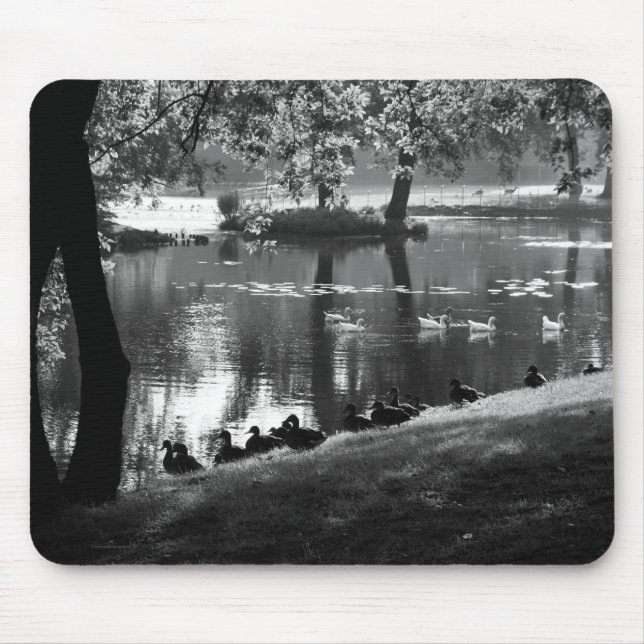 Park Life mpcna Mouse Mat (Front)