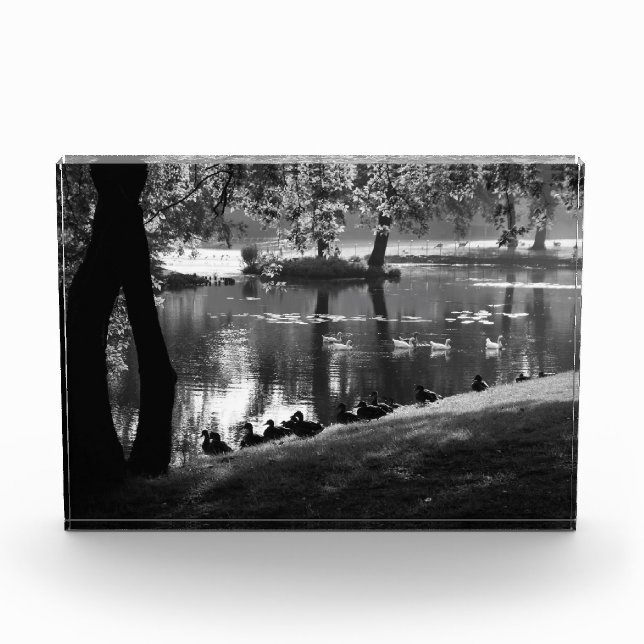 Park Life pba Photo Block (Front)