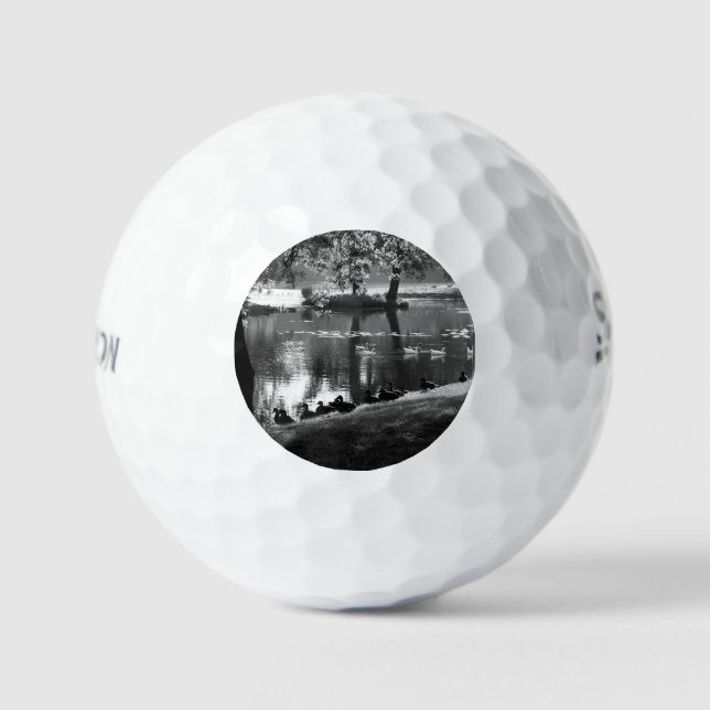 Park Life ssf gbcna Golf Balls (Front)
