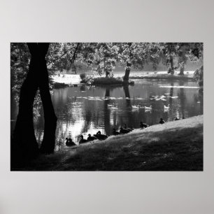 Park Life wapa Poster