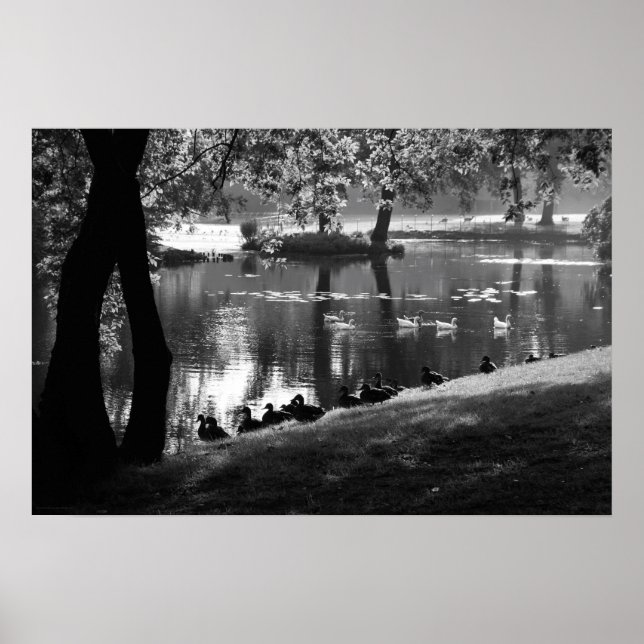 Park Life wapa Poster (Front)