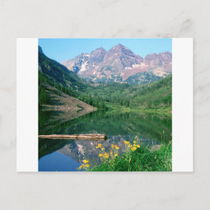 Park Maroon Bells White River Colorado Postcard
