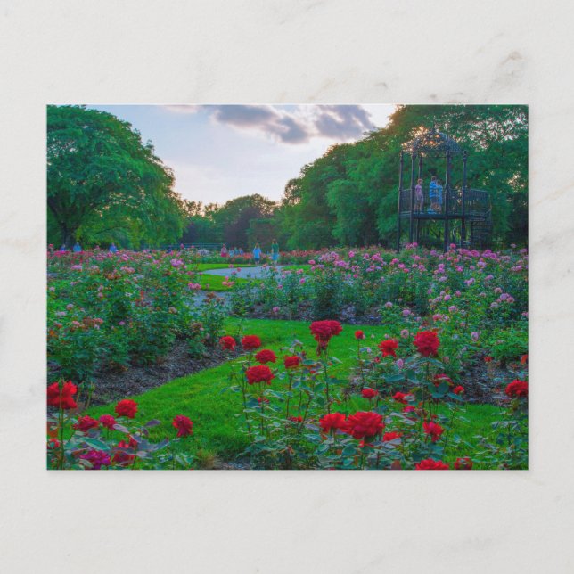 Park of Roses, Columbus, Ohio Postcard (Front)
