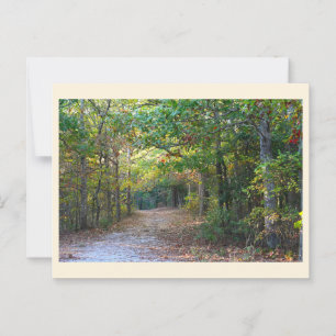 Park Path Postcard