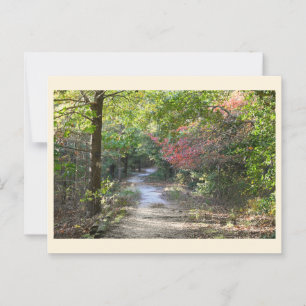 Park Path Postcard