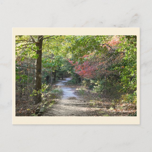 Park Path Postcard (Front)