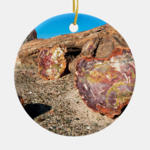 Park Petrified Forest Ceramic Tree Decoration