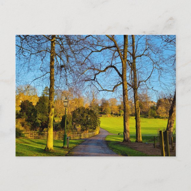 Park  postcard (Front)
