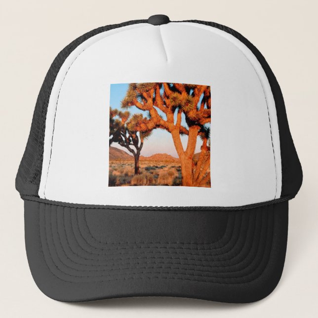 Park Sunrise Joshua Tree Monument California Trucker Hat (Front)
