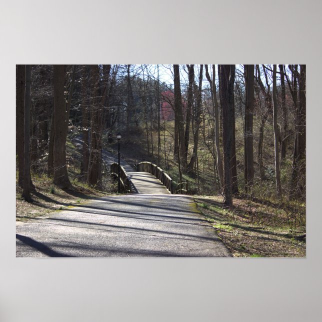Park Walking Bridge Poster (Front)