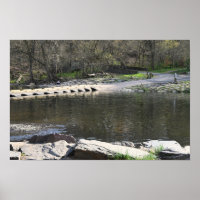 Park Waterscape Poster