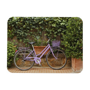 Parked bicycle, Pienza, Italy, Tuscany Magnet