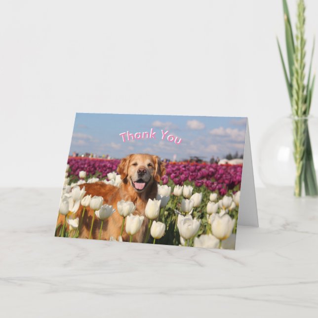 ParkerPup Thank You cards (Front)