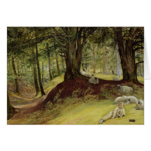Parkhurst Woods, Abinger, Surrey