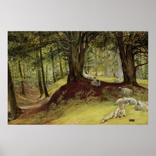 Parkhurst Woods, Abinger, Surrey Poster (Front)