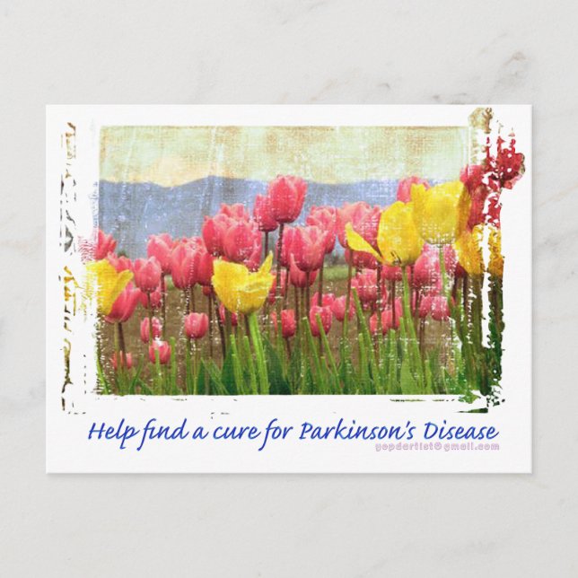Parkinsons Disease Field of Tulips Postcard (Front)