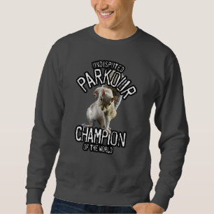 Parkour Squirrel - funny freerunning Sweatshirt