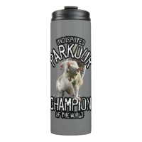 Parkour Squirrel - funny freerunning