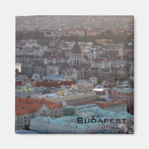 Parliament Magnet