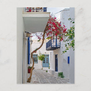 Paros Parikia Summer Alley Postcard