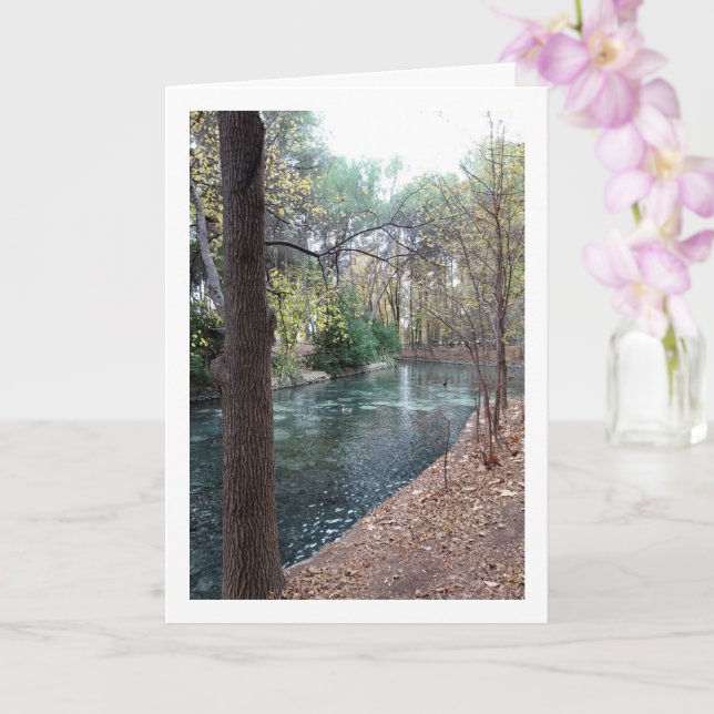 Parque Municipal San Vicente, Lliria, Valencia Card (Orchid)