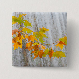 Parque Natural del Monasterio - Fall Leaves 15 Cm Square Badge