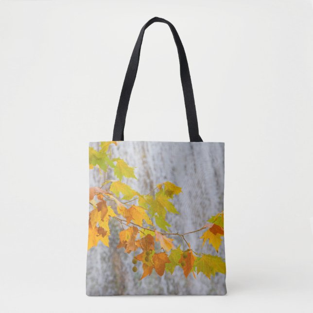 Parque Natural del Monasterio - Fall Leaves Tote Bag (Front)