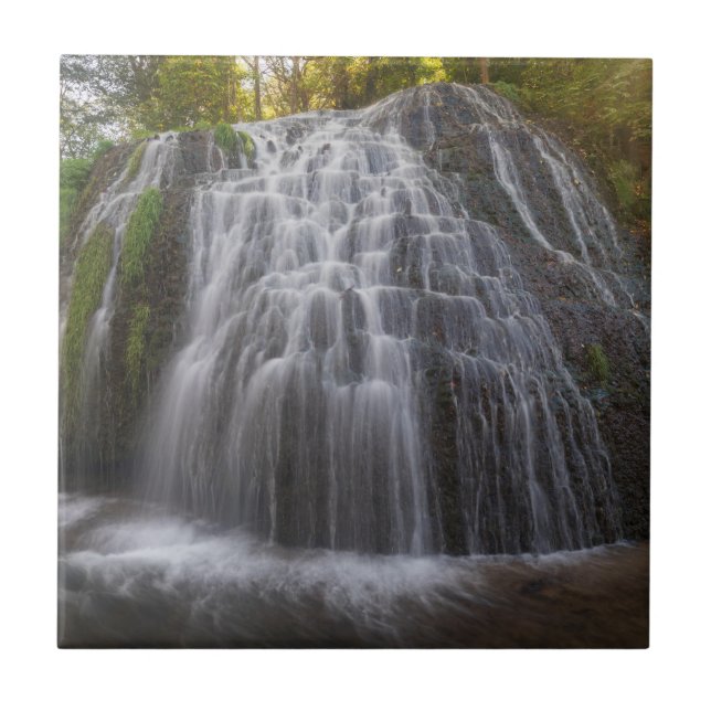Parque Natural del Monasterio - Waterfall Tile (Front)