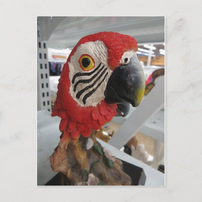 Parrort Head Postcard (Front)