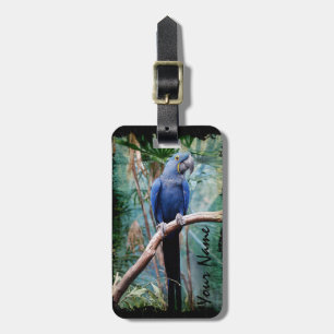 Parrot 1 Luggage Tag Options