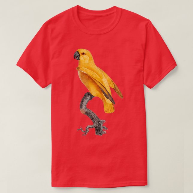 Parrot 30 Public Domain Picture T-Shirt (Design Front)