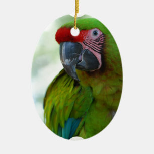 parrot-63.jpg ceramic tree decoration