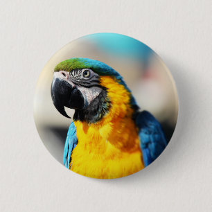 parrot 6 cm round badge