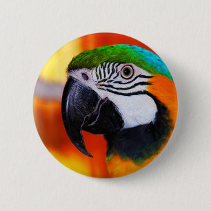 Parrot 6 Cm Round Badge