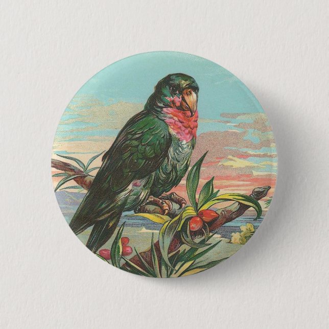 Parrot 6 Cm Round Badge (Front)