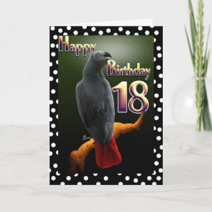 Parrot African Gray bird polka dot 18 Birthday Card